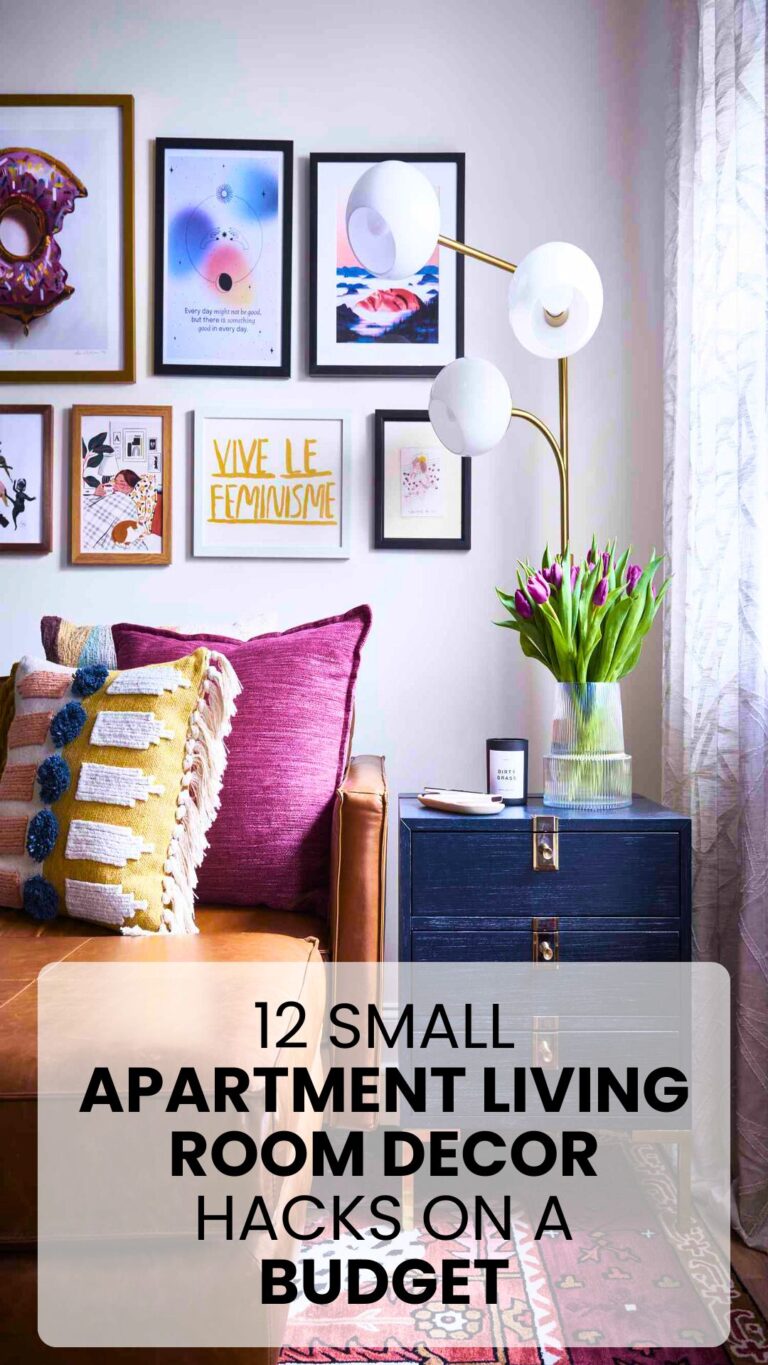 Small Apartment Living Room Decor Hacks on a Budget